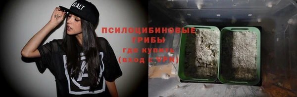 PSILOCYBIN Абаза
