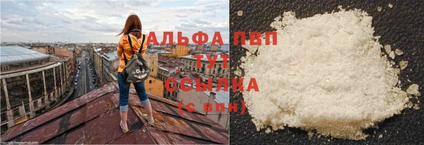 PSILOCYBIN Абаза