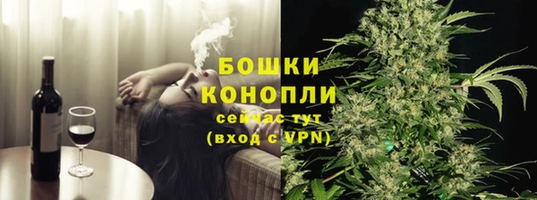 PSILOCYBIN Абаза