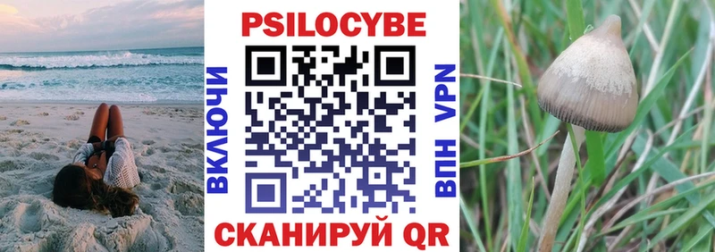 Галлюциногенные грибы мухоморы  Ирбит 